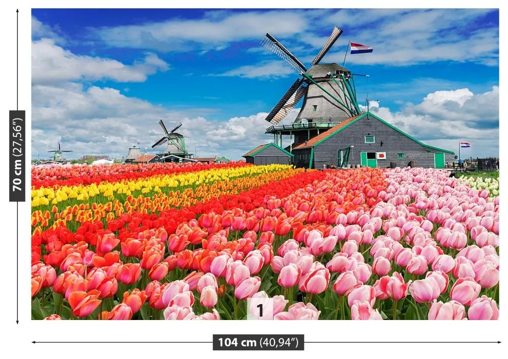 Fototapeta Vliesová Veterné mlyny v holandsku 104x70 cm