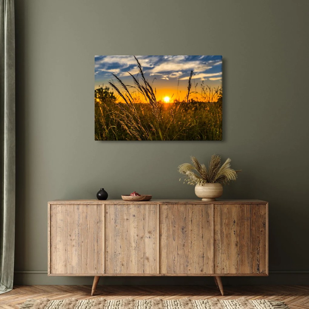 Obraz pole pri západe slnka (90x60 cm)