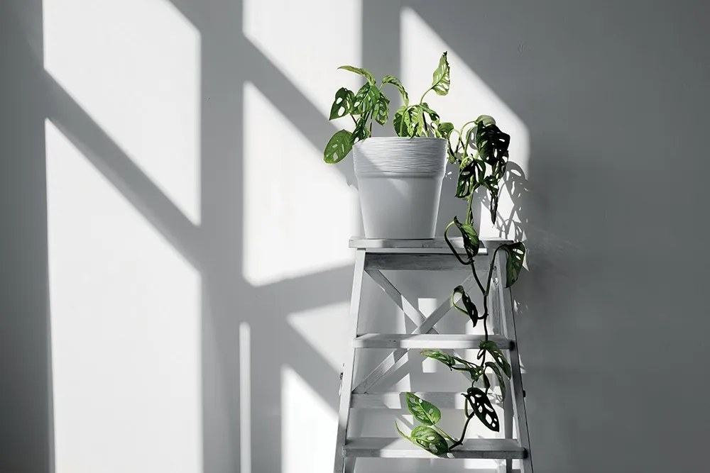 Kvetináč Furu biely