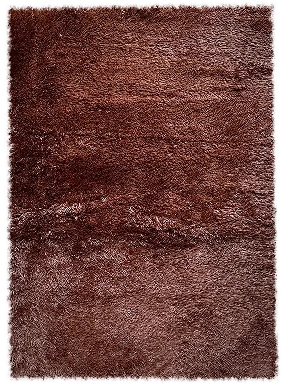 Koberec Shaggy Oslo 0,8/1,5 RS-PV hnědý