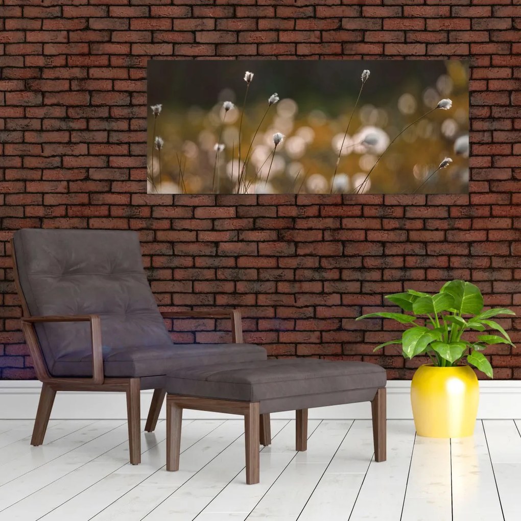 Obraz - Lúka s cottongrass N⁰2 (120x50 cm)