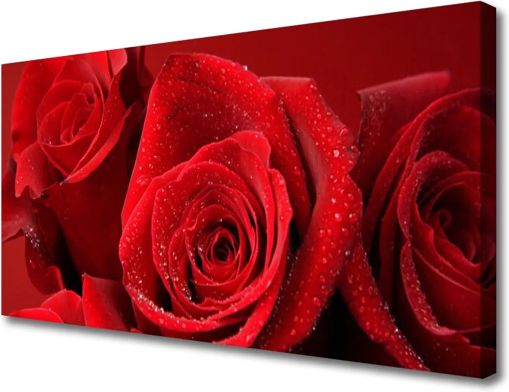 Obraz na plátně Sklenený Ruže Kvety
