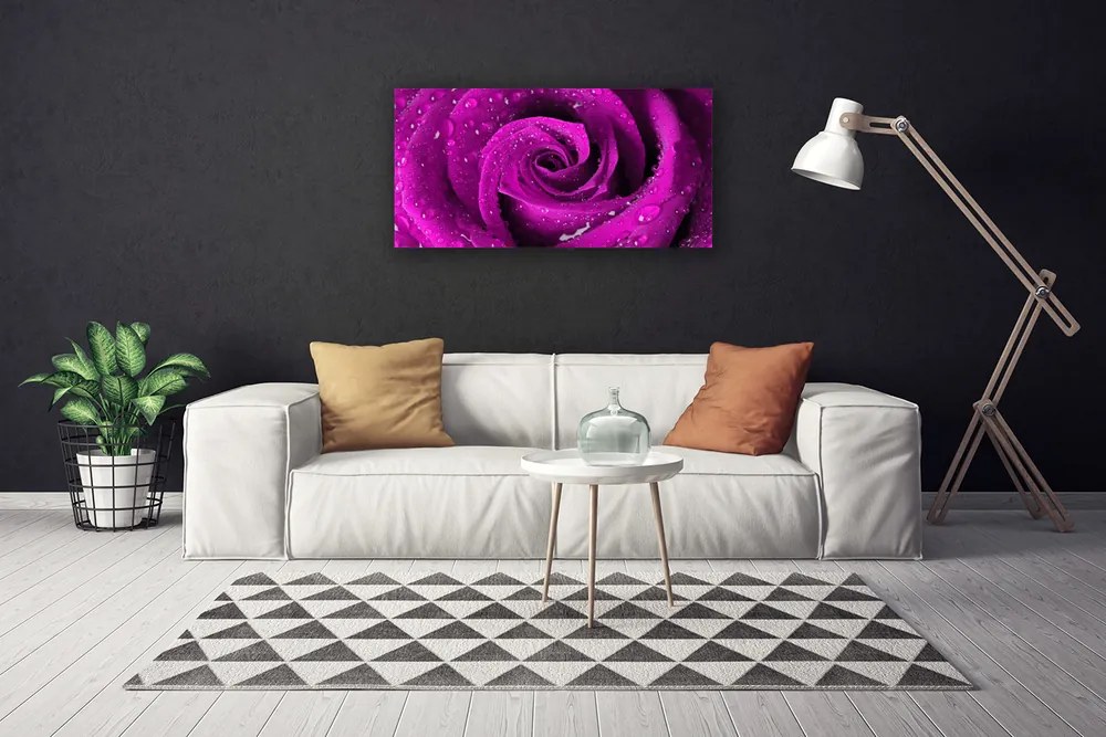 Obraz na plátne Ruže kvet rastlina 120x60 cm