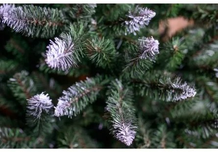 Sammer Vianočný stromček na drevenom pni 180 cm Konrad Konrad 180 cm