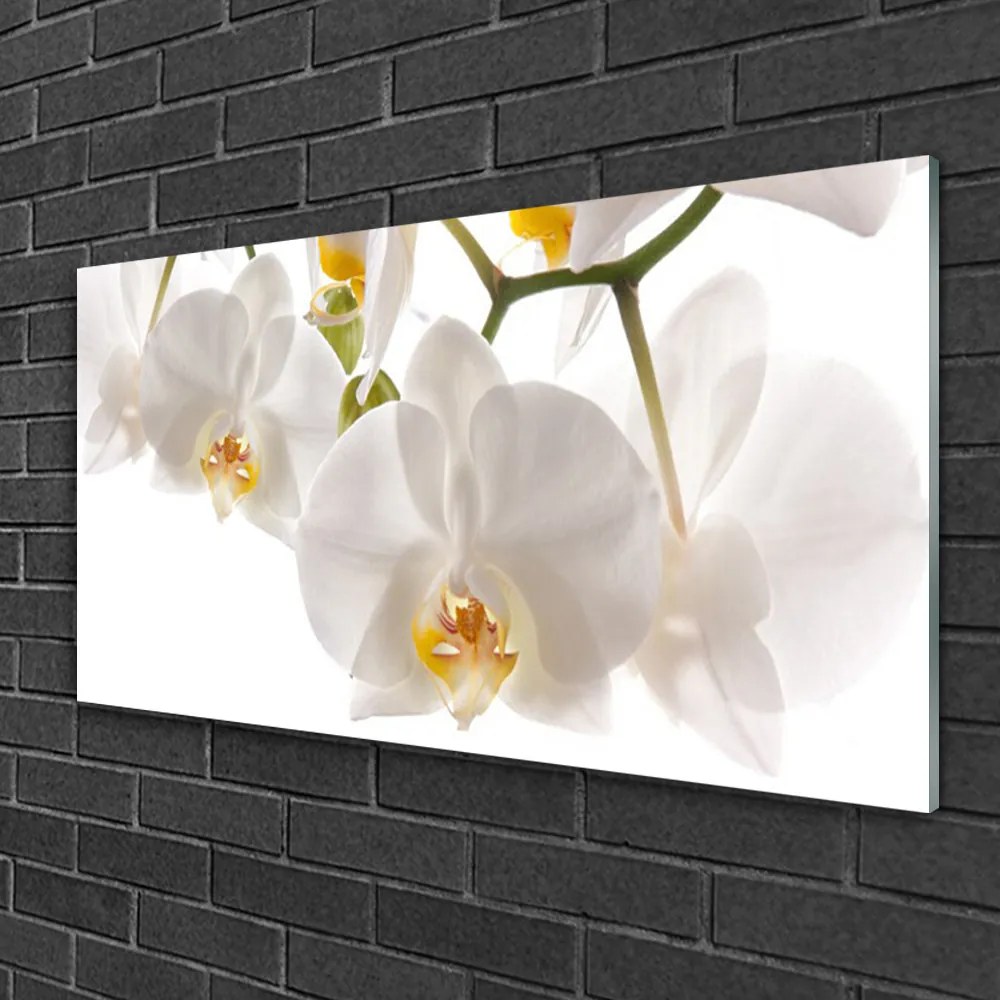 Skleneny obraz Orchidea kvety príroda 100x50 cm