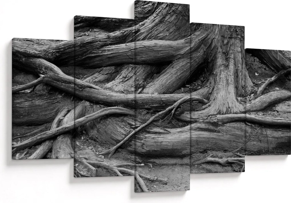 Obraz - Korene stromu (150x105 cm)