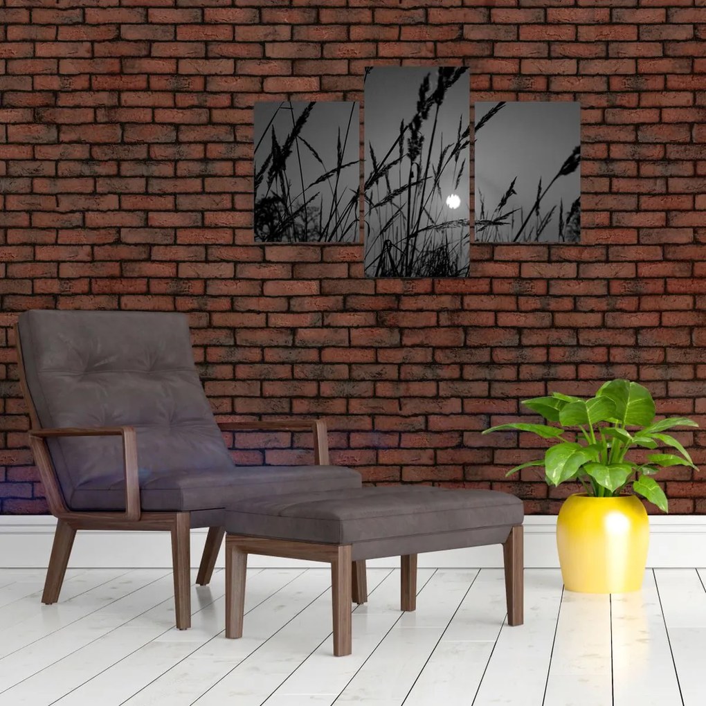 Obraz - Lúka so západom slnka (90x60 cm)