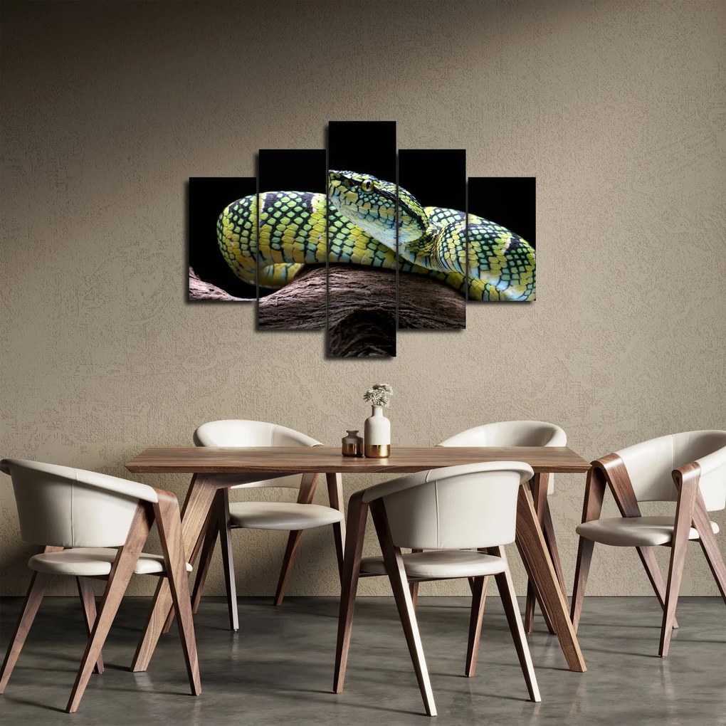 Obraz - Štrkáč Waglerov (150x105 cm)