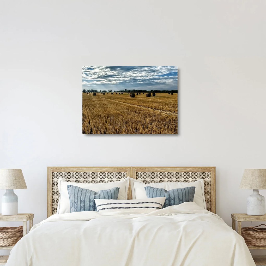 Sklenený obraz zozbieraného obilného poľa (70x50 cm)