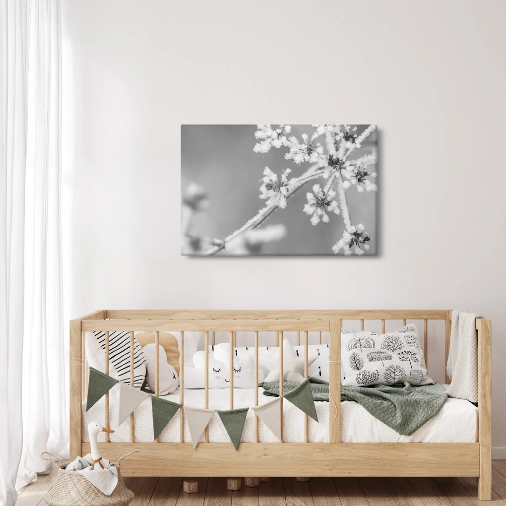 Obraz - Zamrznutá rastlina (90x60 cm)