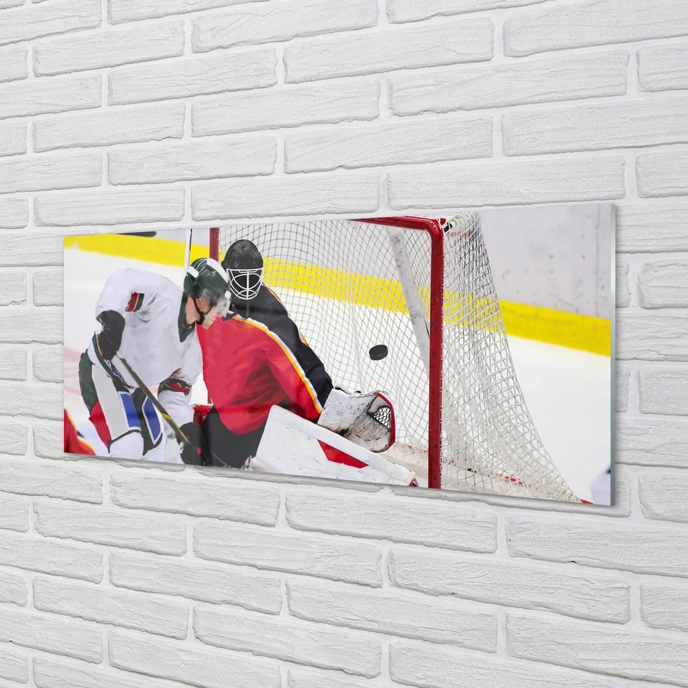 Obraz plexi Brána hokej 120x60 cm