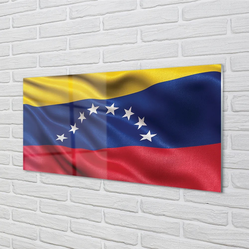 Obraz plexi Vlajka venezuely 125x50 cm