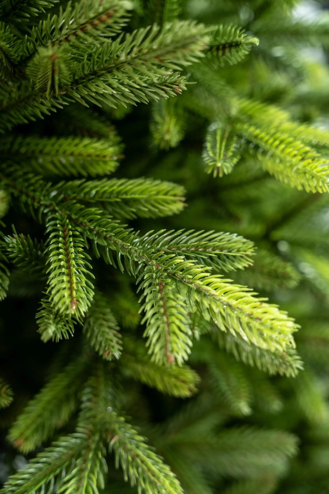 Vianočný stromček 100% 3D- Jedľa premium 210cm