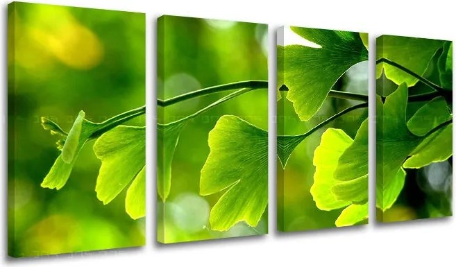 Obraz na stenu 4 dielny RASTLINY RA020E41