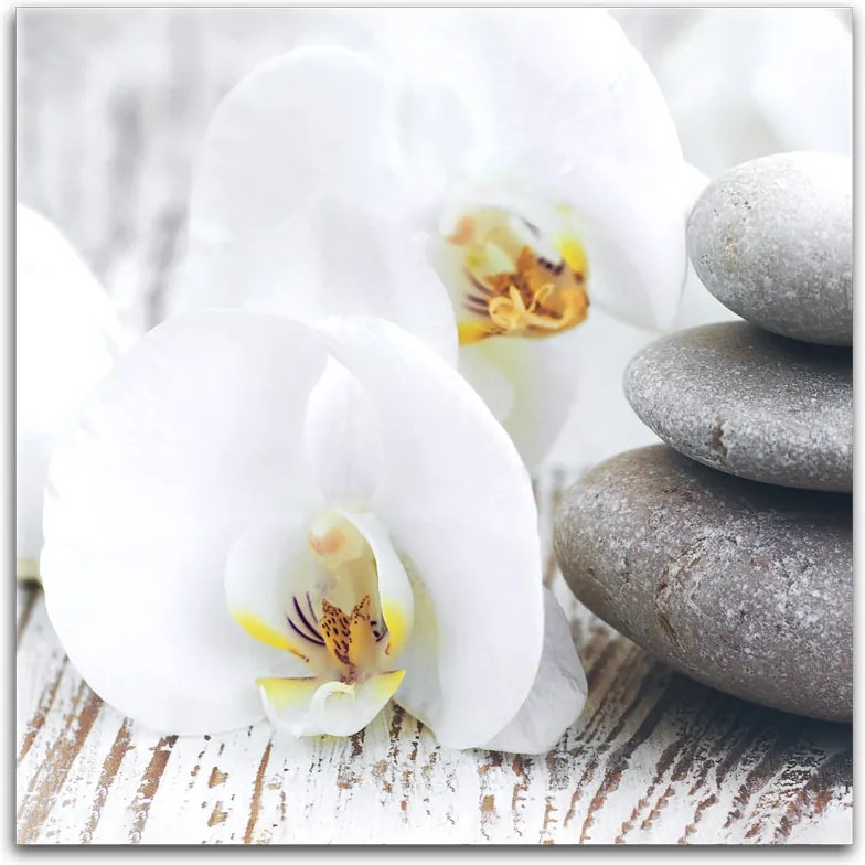 Styler Obraz na plátne - White orchid 30x30 cm