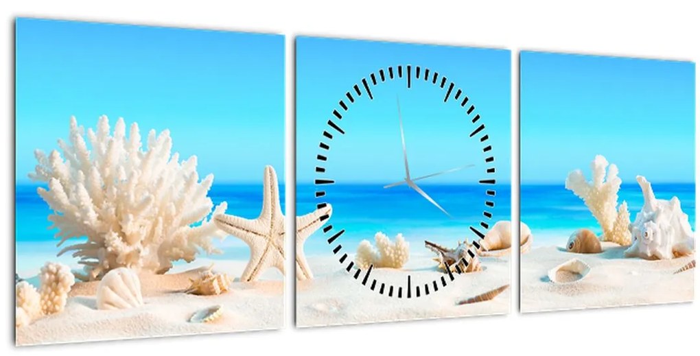 Obraz - Zátišie s mušľami (s hodinami) (90x30 cm)