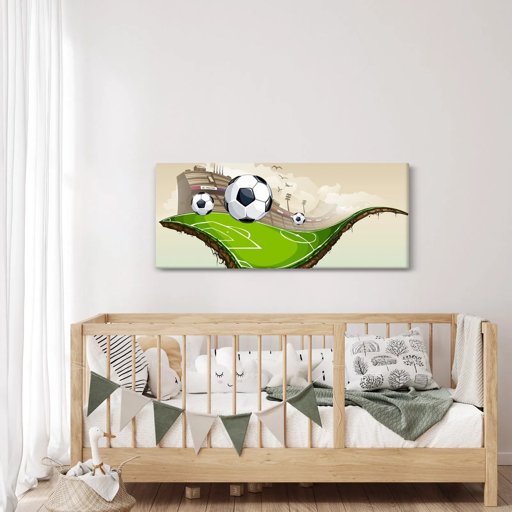 Obraz - Futbalové ihrisko (120x50 cm)