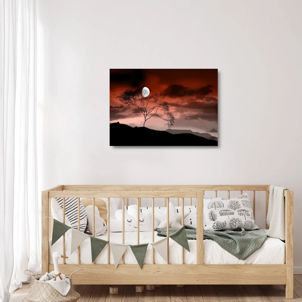 Sklenený obraz - Mesiac osvetľujúce noc (70x50 cm)