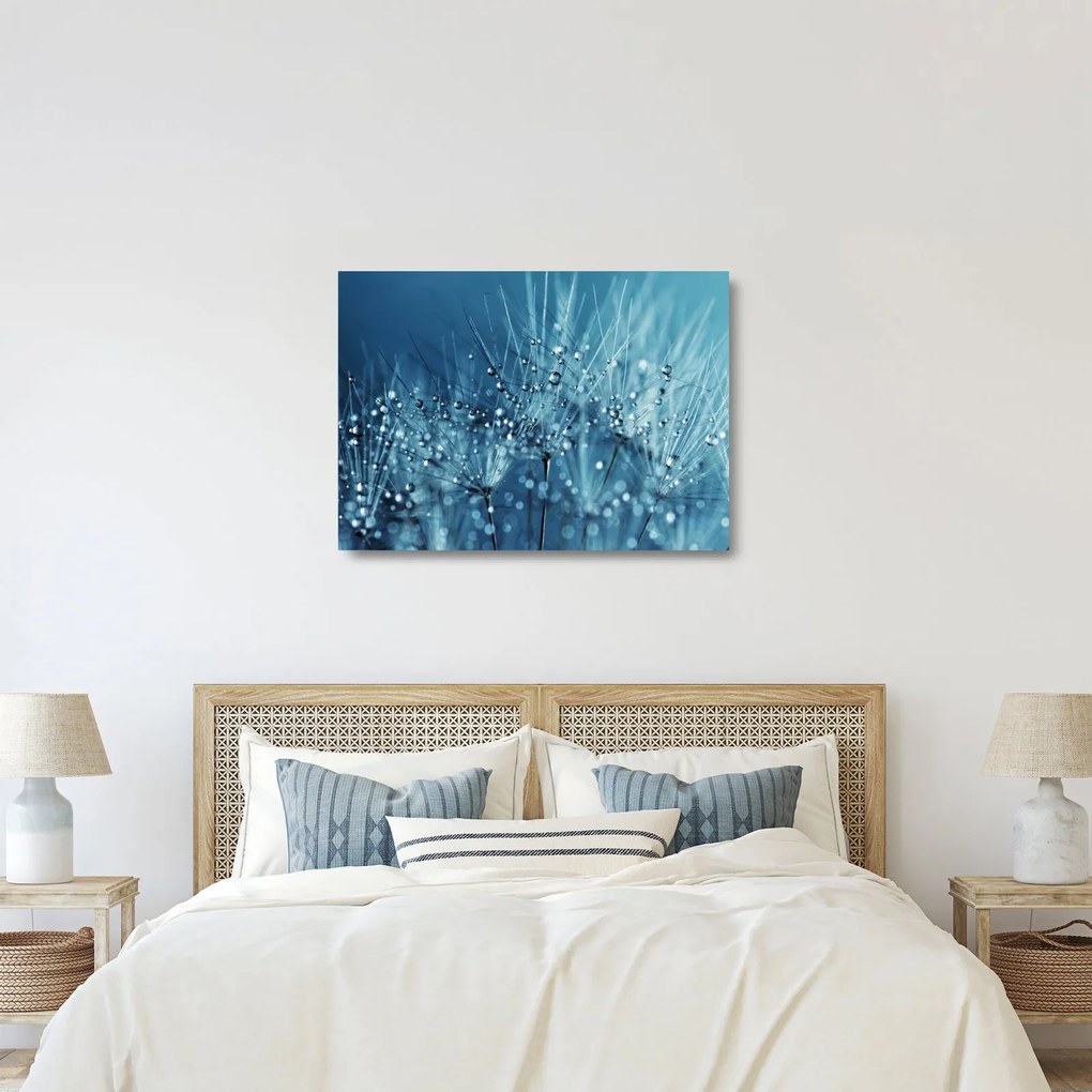 Sklenený obraz - Kvapky rosy (70x50 cm)