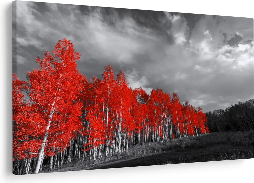 Obraz - Stromy vo farbe jesene (90x60 cm)