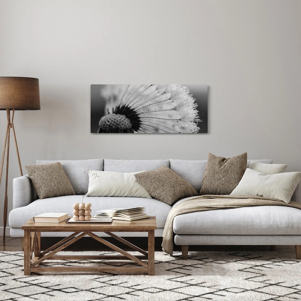 Obraz púpavy - čiernobiely (120x50 cm)