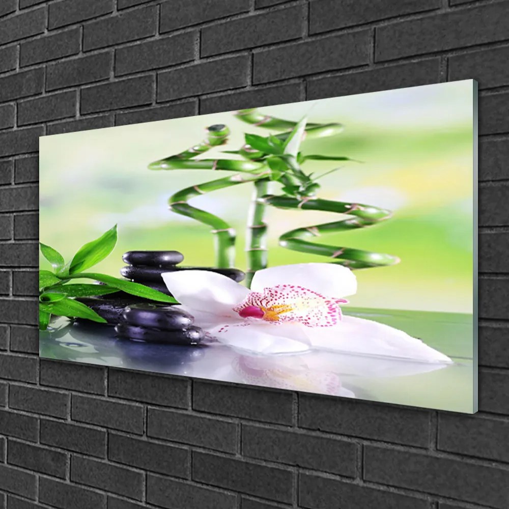 Skleneny obraz Orchidea bambus zen kúpele 100x50 cm