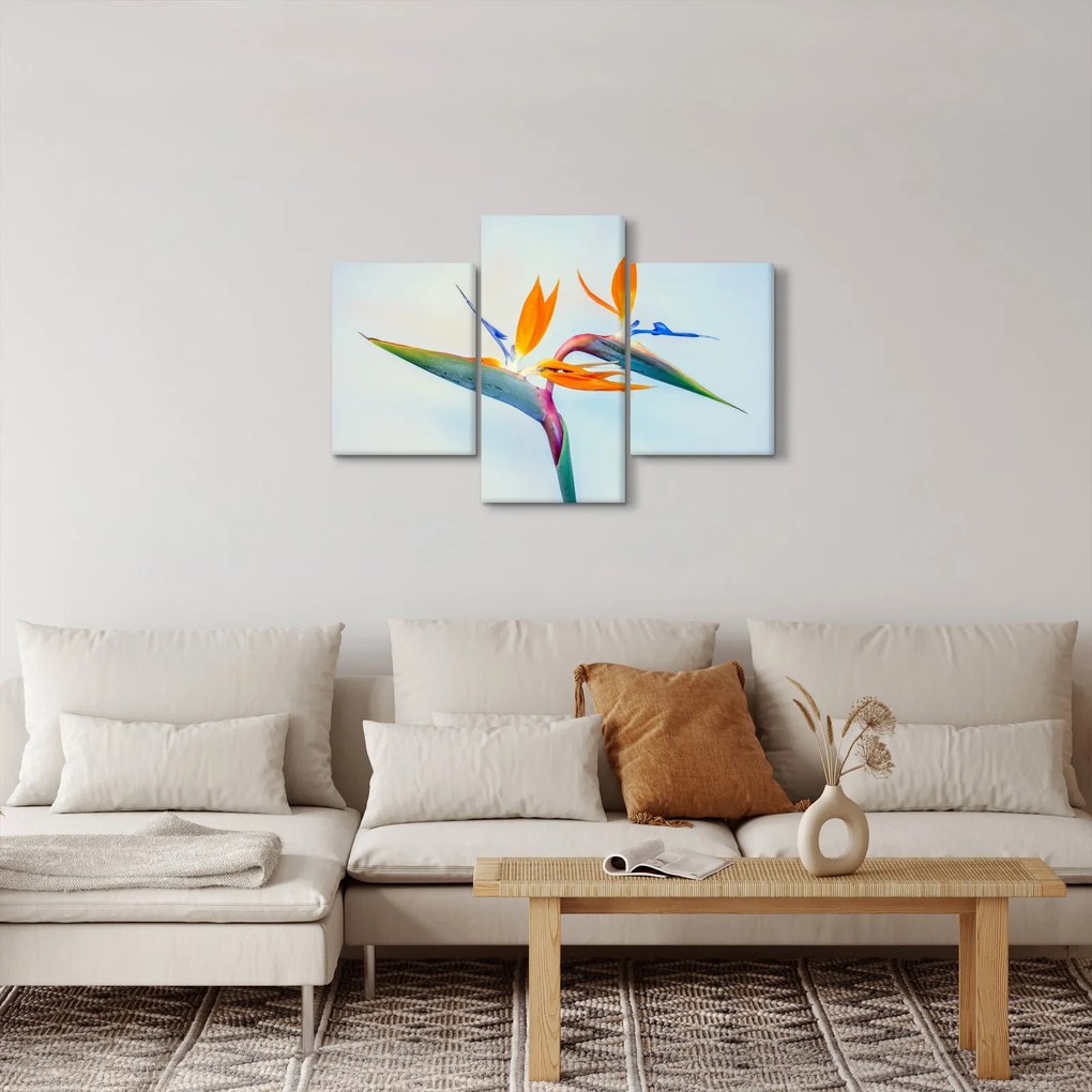 Obraz kvetu Strelícia (90x60 cm)