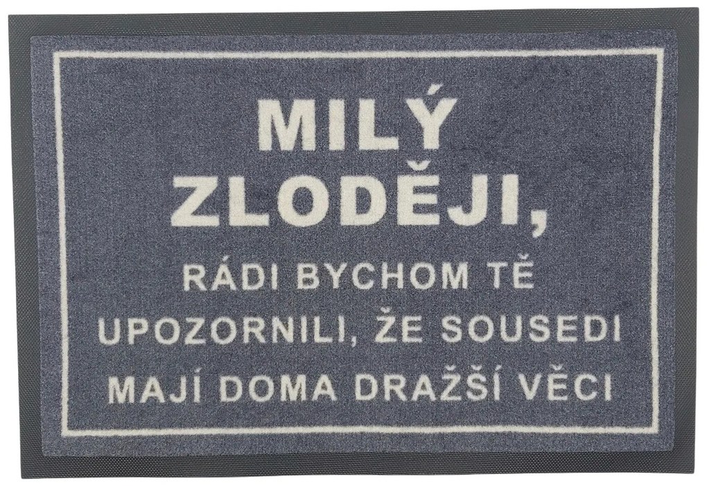 Rohožka Milý zlodeji 40x60 cm – na von aj na doma, 40x60, šedá, GDmats
