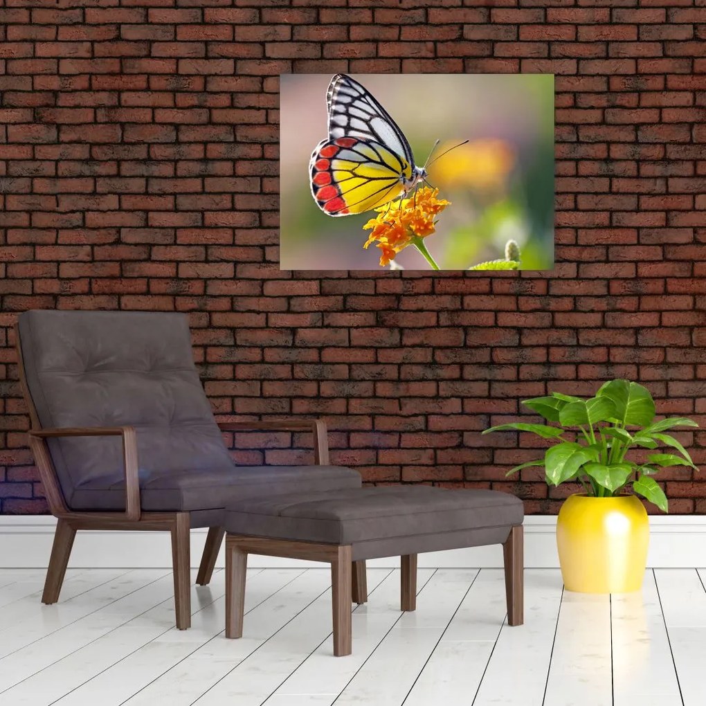 Sklenený obraz motýľa na kvete (70x50 cm)
