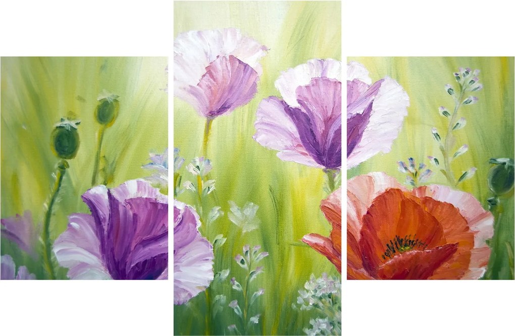 Obraz - Vlčie maky (90x60 cm)