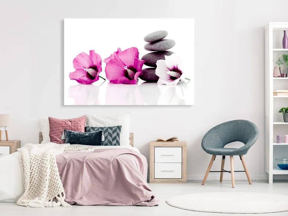 Obraz pokoj s ružovými Zen kameňmi - Calm Mallow