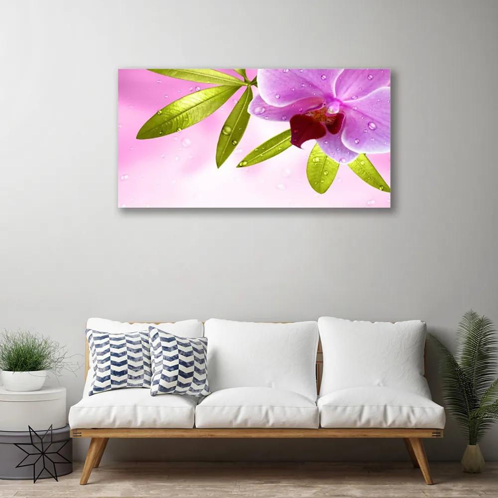 Obraz na plátne Kvet listy rastlina 140x70 cm