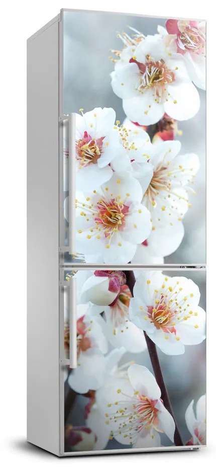 Samolepiace nálepka na chladničku Kvety višne FridgeStick-70x190-f-104952401