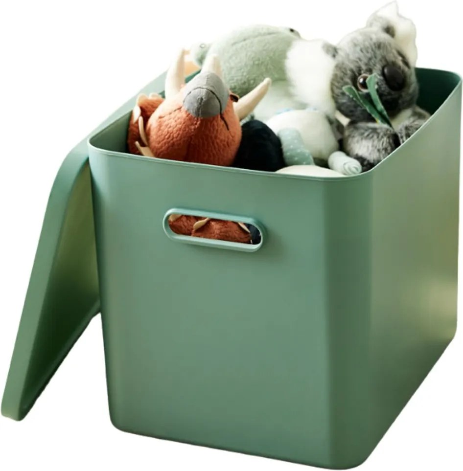 Rotho Úložný box, rovný s víkem, 27l, matně zelená ALBU LIGHT, 37x29x30