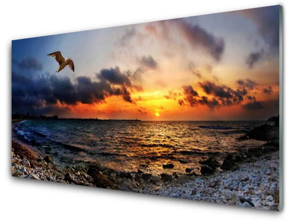 Obraz na skle Čajka more pláž krajina 140x70cm