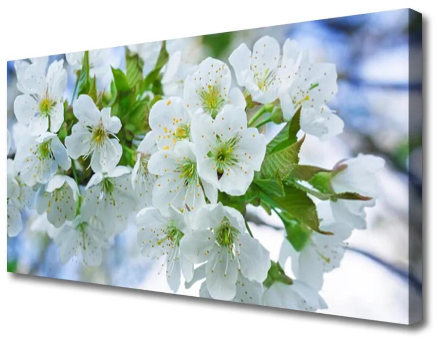Obraz Canvas Kvety strom listy príroda 120x60cm