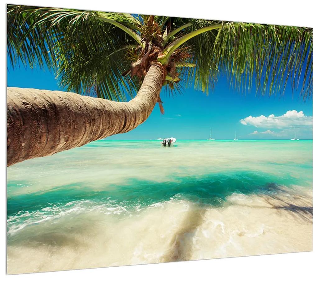 Obraz čistého mora s palmou (70x50 cm)