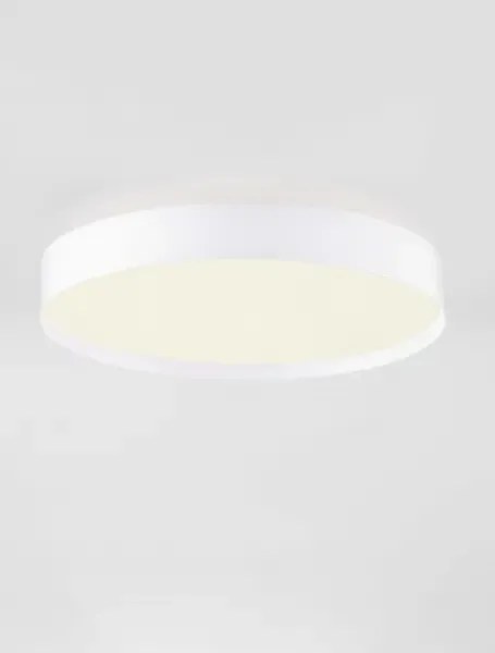 LED stmievateľné biele moderné stropné svietidlo Roi 40