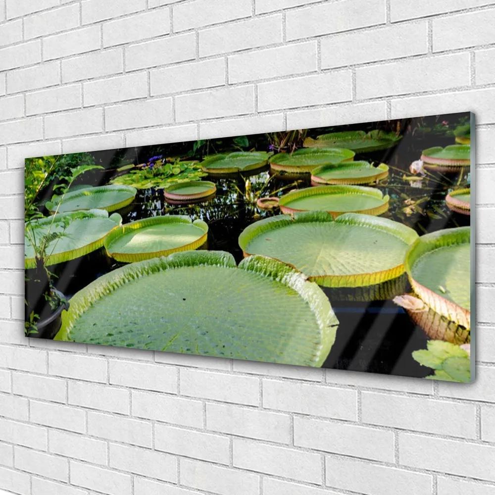 Obraz plexi Listy jazero príroda 125x50 cm