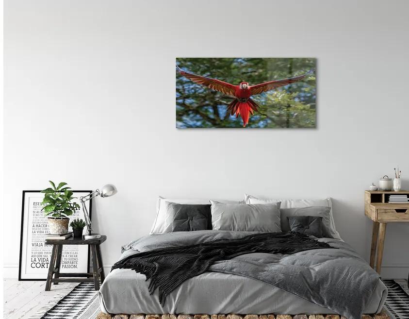 Obraz na akrylátovom skle Ara papagáj 100x50 cm