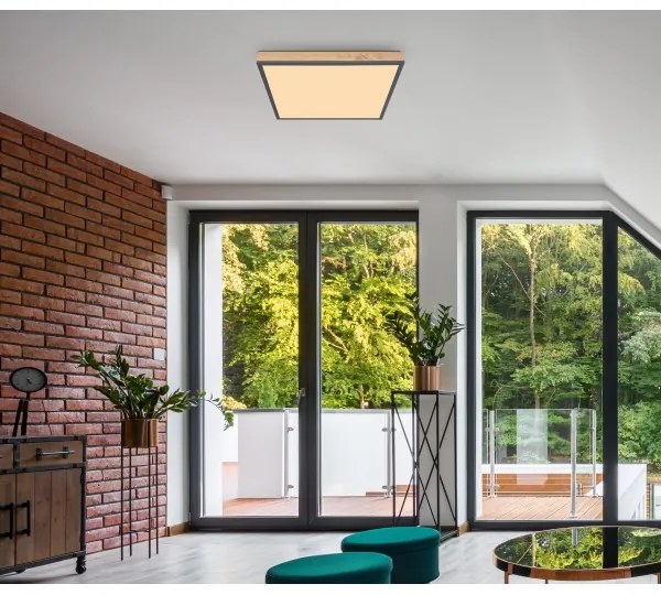 Globo 416080WD2 - LED Stropné svietidlo DORO LED/24W/230V