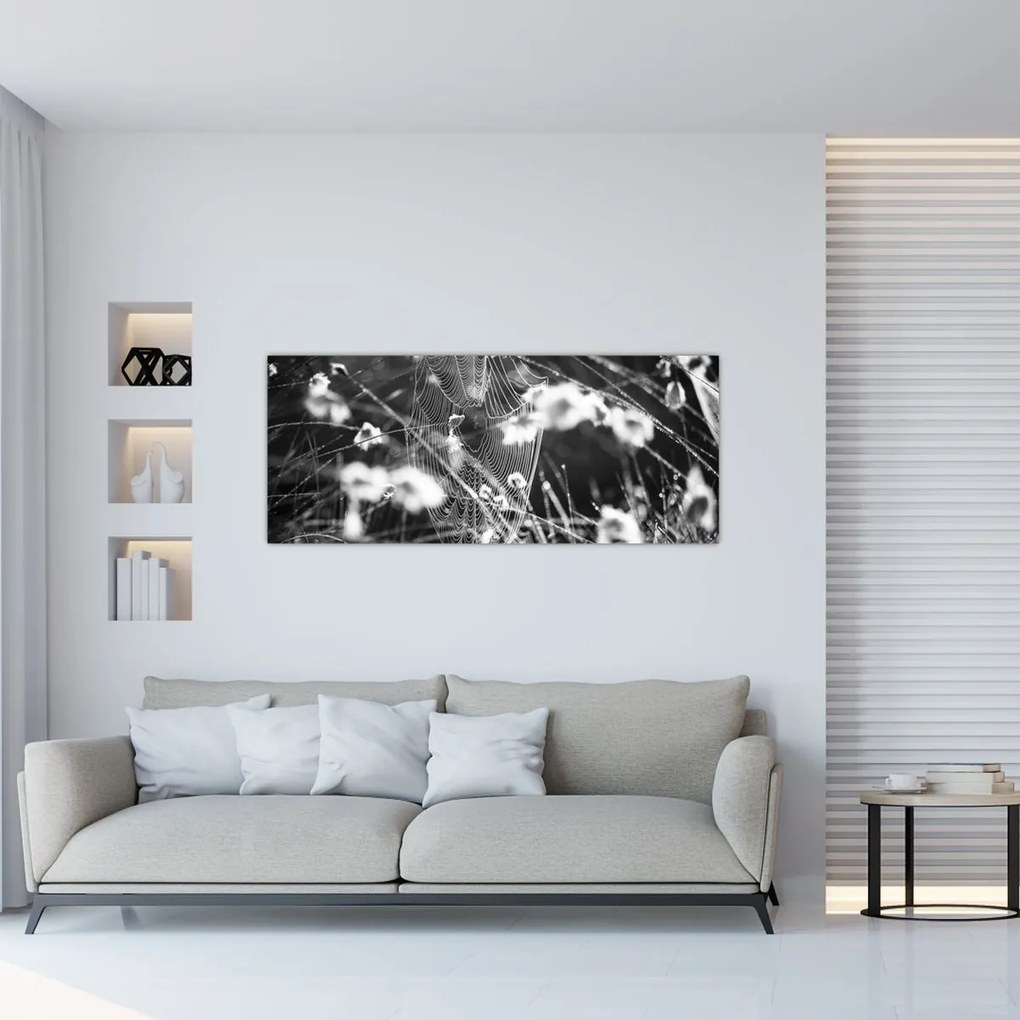 Obraz - Pavučina na lúke (120x50 cm)