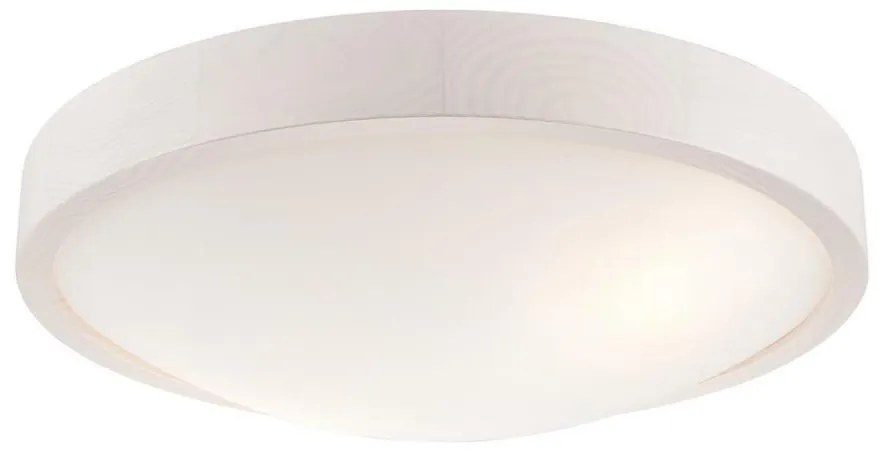 Stropné svietidlo MEDA 2xE27/60W/230V