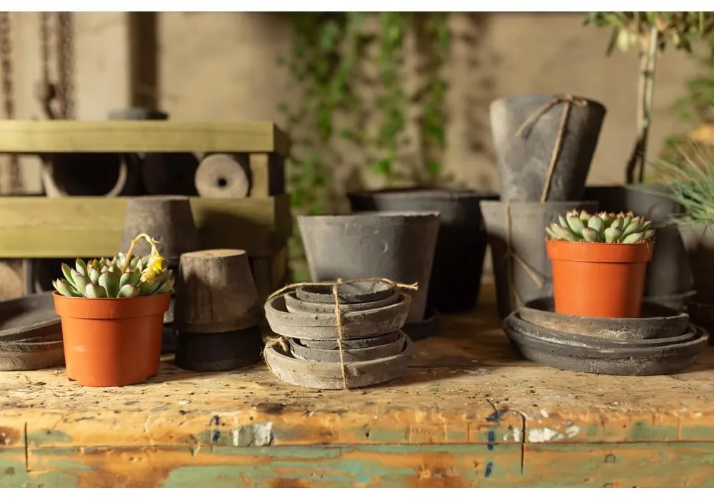 Set 3 misiek pod kvetináč z terakoty Esschert Design