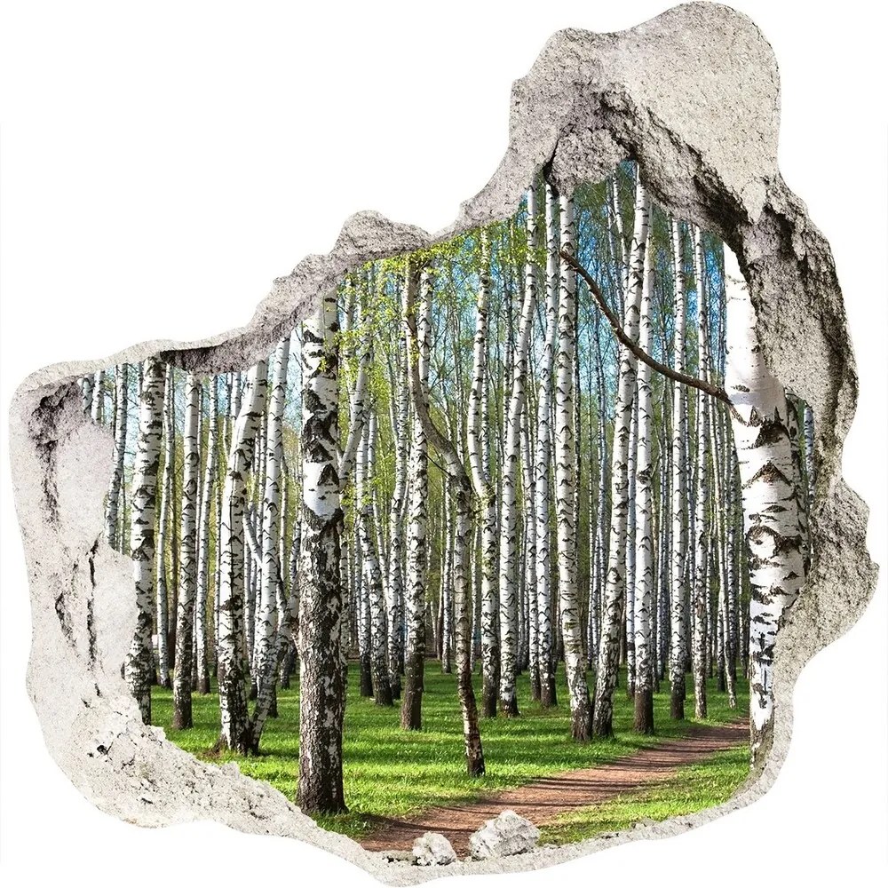 Nálepka fototapeta 3D výhľad Břízová les WallHole-75x75-piask-64516023