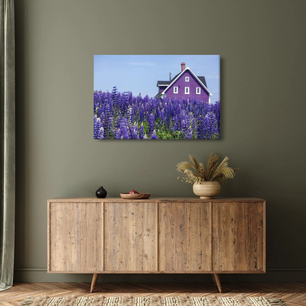 Obraz levanduľového poľa (90x60 cm)