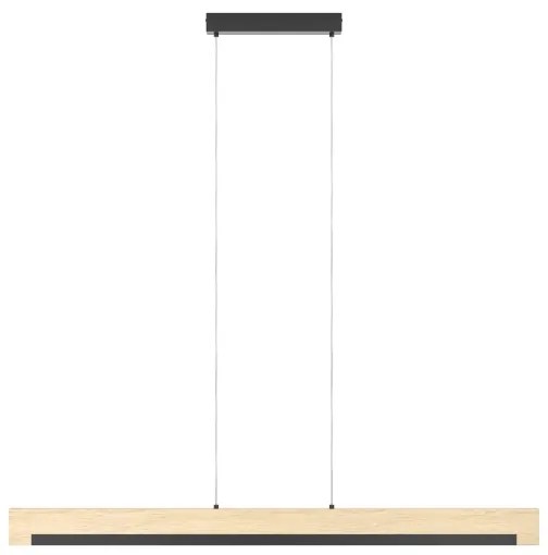 Eglo 99293 - LED Stmievateľný luster na lanku CAMACHO LED/25,5W/230V