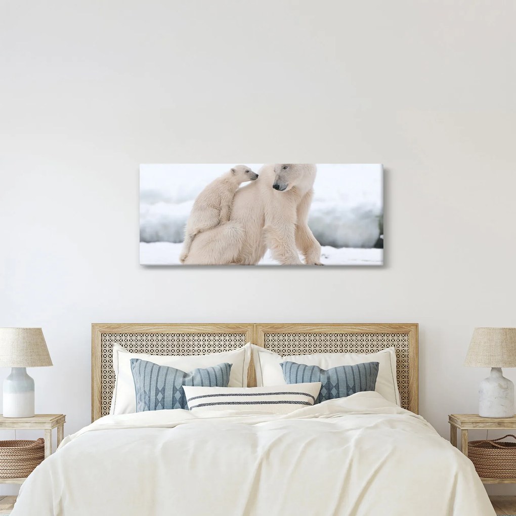 Obraz - Ľadové medvede (120x50 cm)