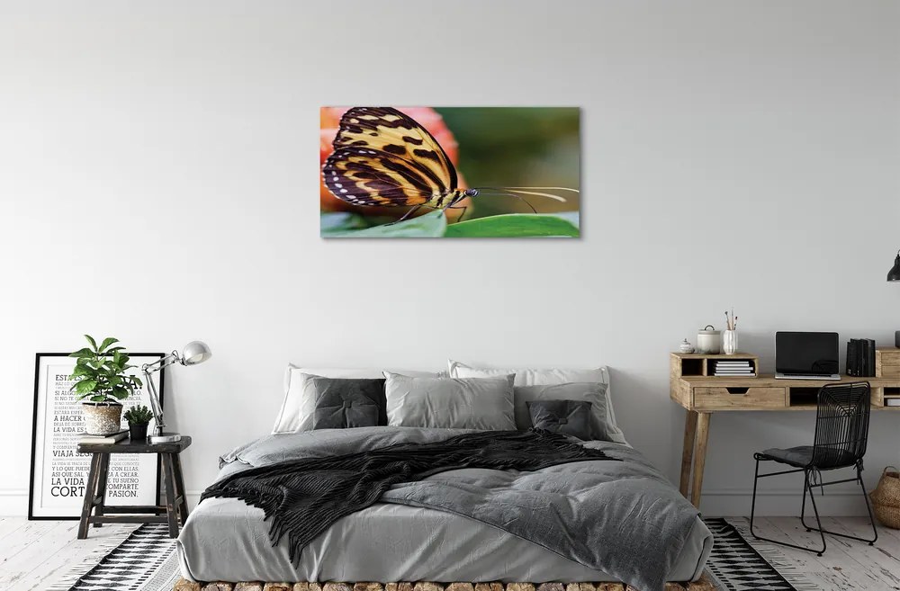 Obraz na plátne motýľ 125x50 cm