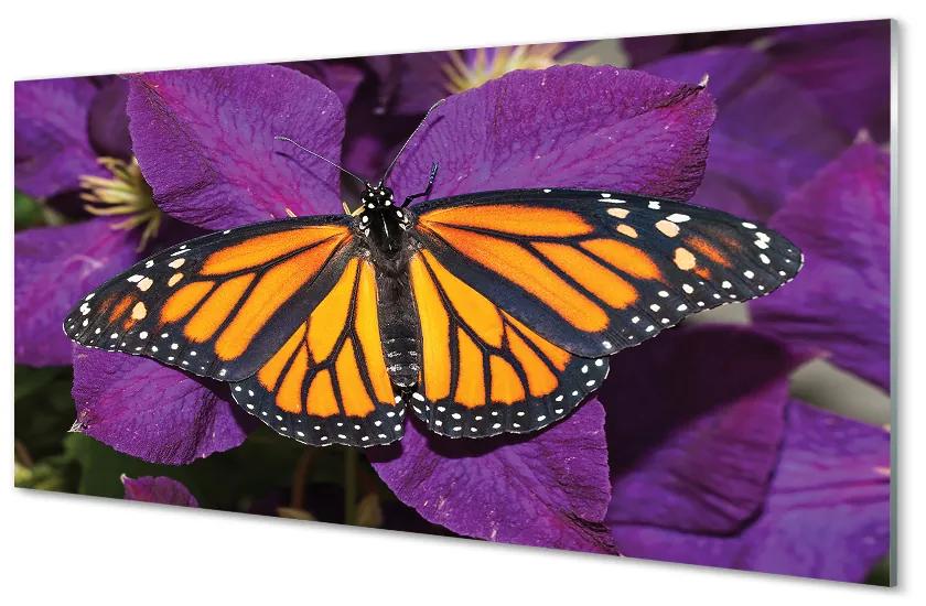 Obraz na akrylátovom skle Farebný motýľ kvety 140x70 cm